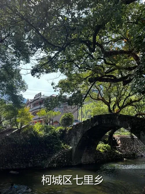 柯城区七里乡