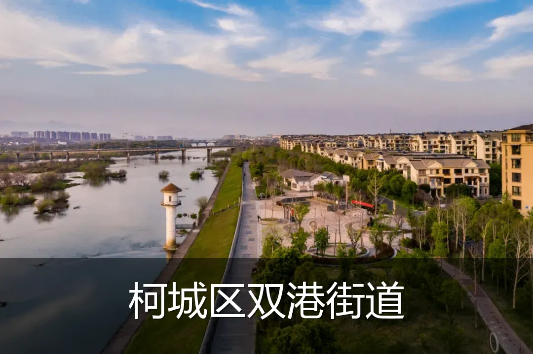 柯城区双港街道
