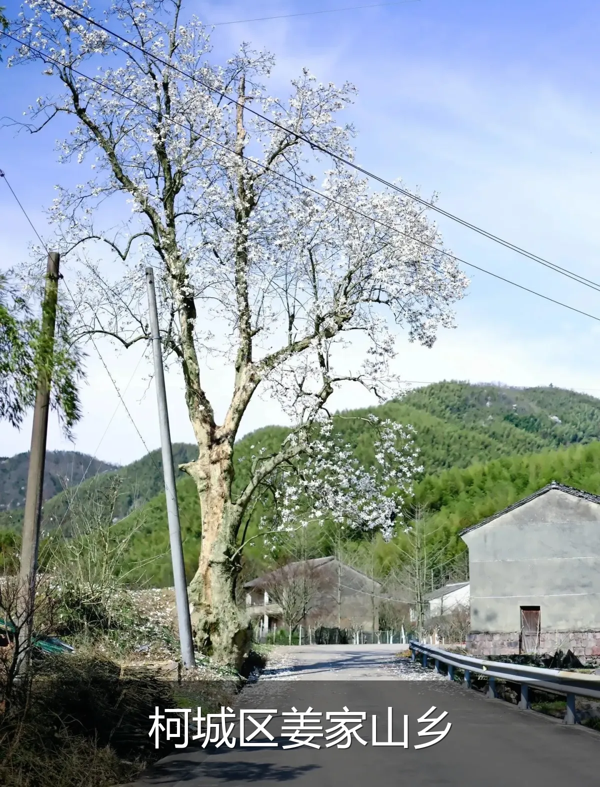 柯城区姜家山乡