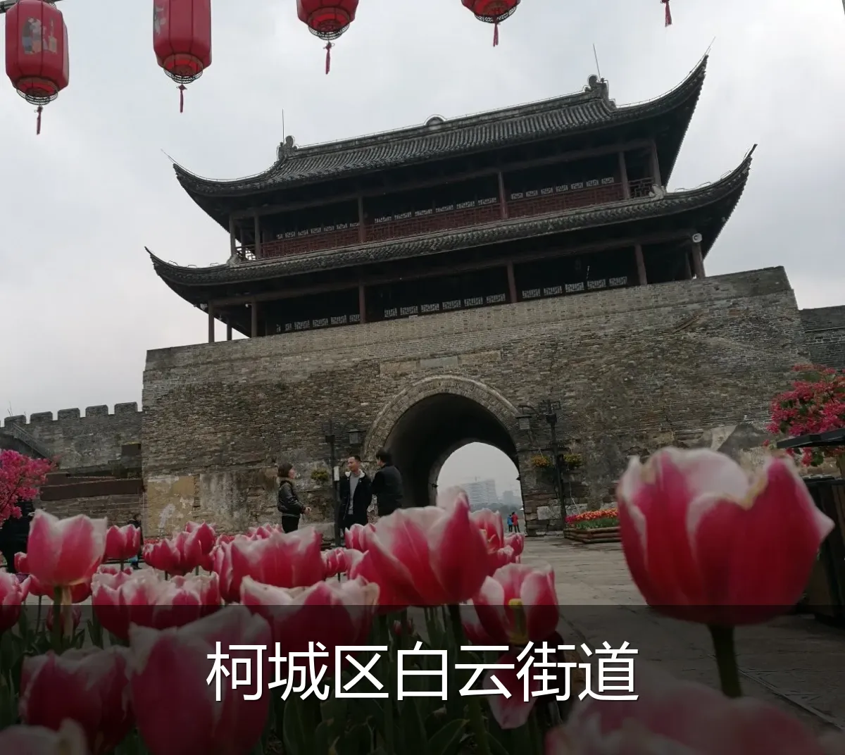 柯城区白云街道