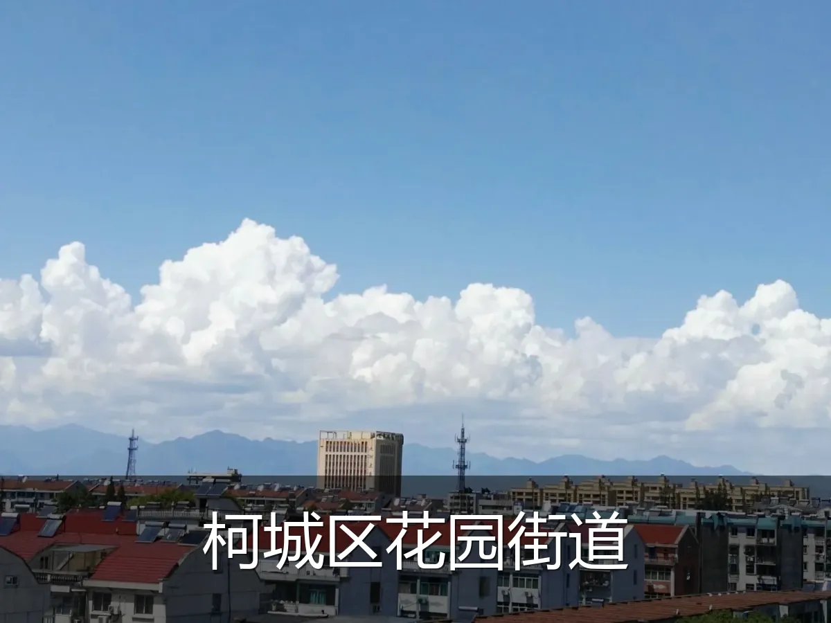 柯城区花园街道
