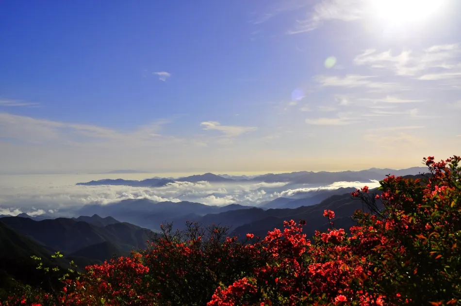柯城区柯城区移动宽带