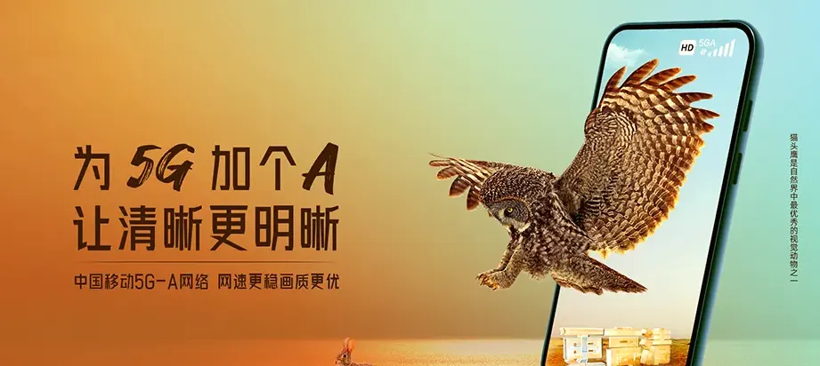 柯城区柯城区七里乡 移动宽带