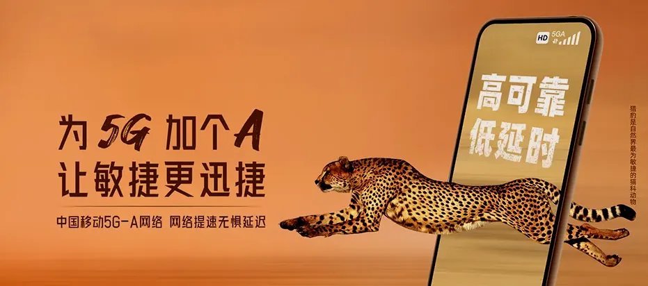 柯城区柯城区沟溪乡 移动宽带